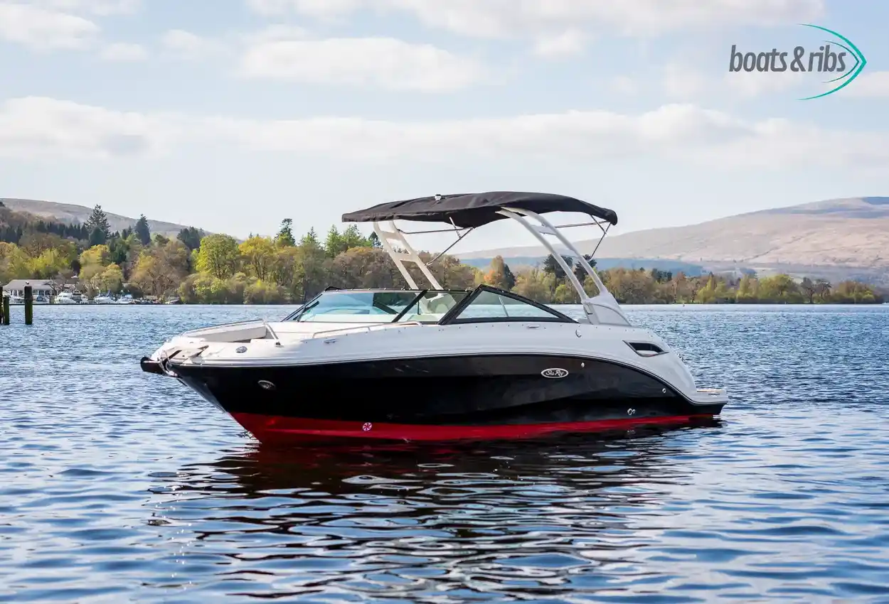 Sea Ray SDX 250