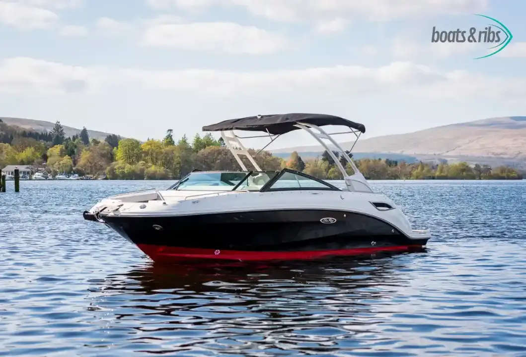 Sea Ray SDX 250