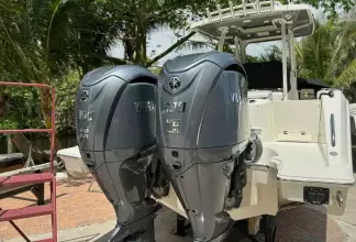 Thumbnail von Pursuit S 288