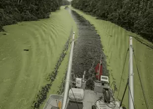 Thumbnail von KELLY ARCHER FPB 83 WIND HORSE