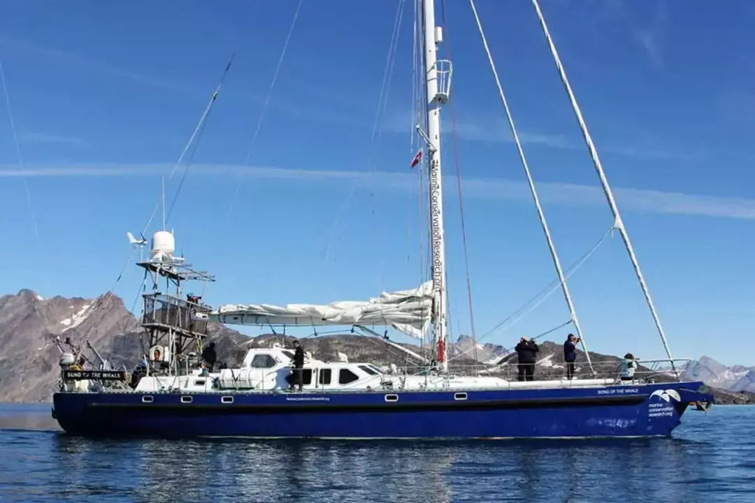 BLONDECELL, FREEWARD MARINE Simon Rogers Cutter Rigged One Design SONG OF THE WHALE