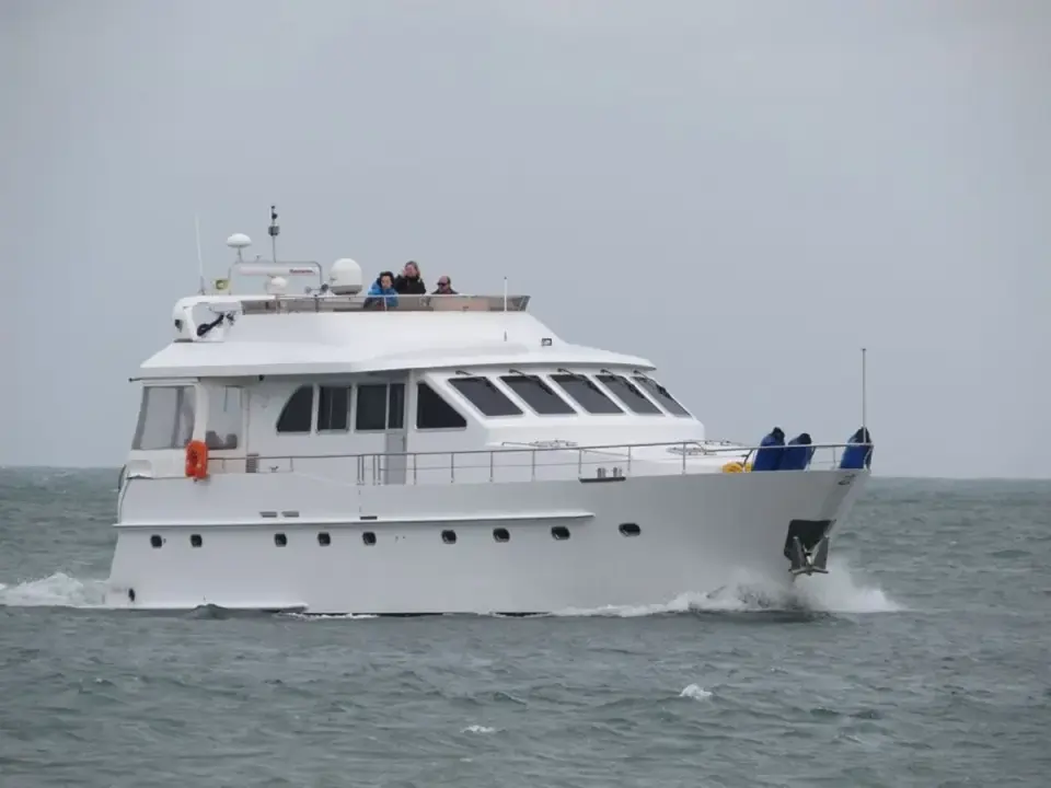 Zijlmans Triqual 65 BIG BIRD OF POOLE