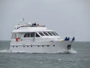 Zijlmans Triqual 65 BIG BIRD OF POOLE