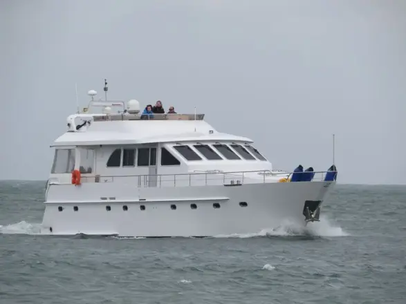 Zijlmans Triqual 65 BIG BIRD OF POOLE