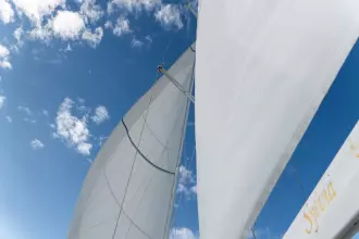 Thumbnail von Discovery 55 SYLVIA