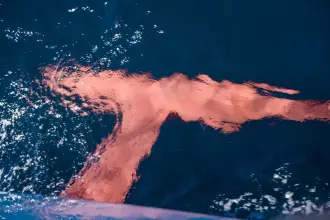 Thumbnail von Persico Marine Volvo Ocean 65 VO65 NO6