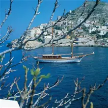 Thumbnail von HALKITIS URANIA 101 HERMINA