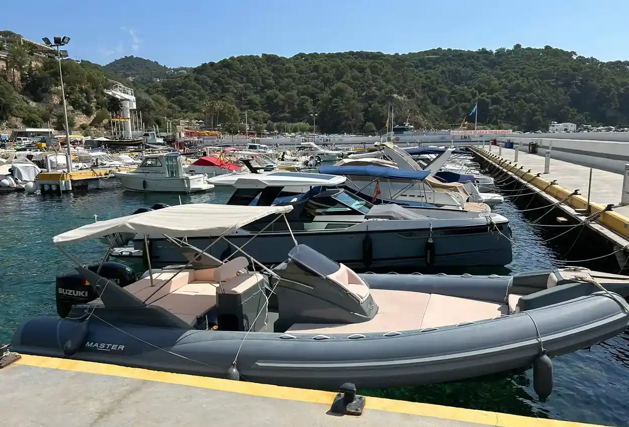 Thumbnail von Master 855