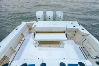 Thumbnail von Grady White Canyon 336