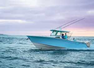 Thumbnail von Grady White Canyon 336