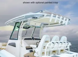 Thumbnail von Grady White Canyon 336