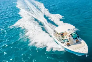 Thumbnail von Cobia 240 DC