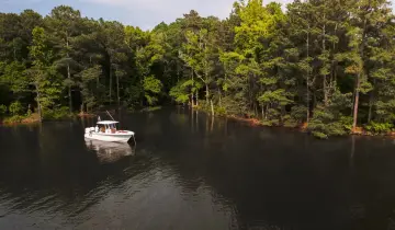 Thumbnail von Sea Hunt Ultra 305 SE