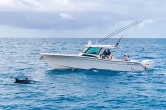 Thumbnail von Grady White 306 Canyon