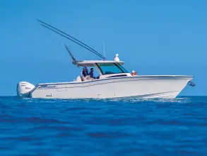 Thumbnail von Grady White 306 Canyon