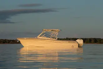 Thumbnail von Grady White Freedom 235