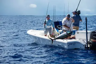 Thumbnail von Pathfinder 2300 HPS