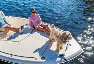 Thumbnail von Grady White 231 CE