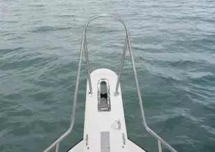 Thumbnail von Grady White 300 MARLIN