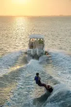 Thumbnail von Grady White Freedom 255