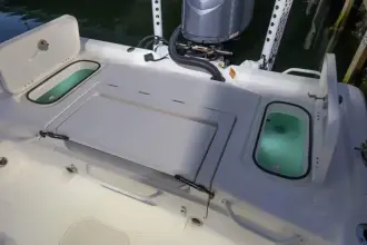 Thumbnail von Skeeter SX 241