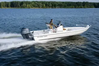 Thumbnail von Skeeter SX 241