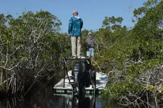 Thumbnail von Maverick 17 Hpx S