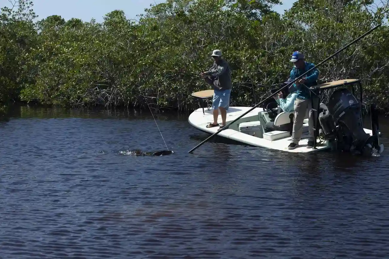 Thumbnail von Maverick 17 Hpx S