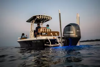 Thumbnail von Skeeter SX 2550