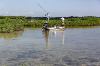 Thumbnail von マーベリック 17 Hpx V