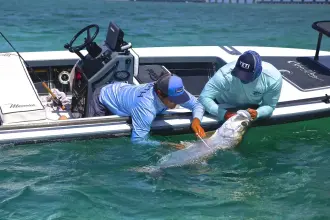 Thumbnail von マーベリック 17 Hpx V