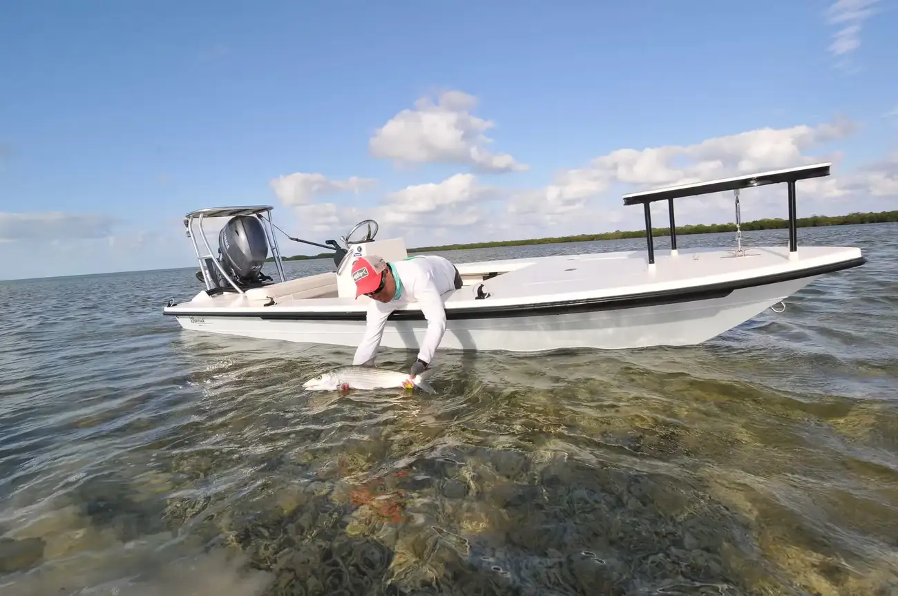 Thumbnail von Maverick 17 Hpx V