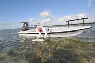 Thumbnail von マーベリック 17 Hpx V