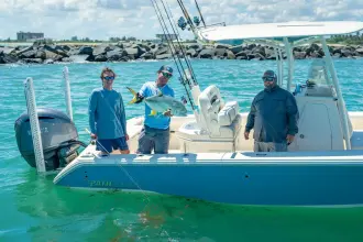 Thumbnail von Pathfinder 2400 Open