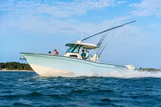 Thumbnail von Grady White 306 Canyon