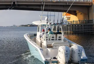 Thumbnail von Cobia 350 CC