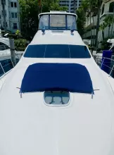 Thumbnail von Sea Ray 580 Sedan Bridge Blue Pearl