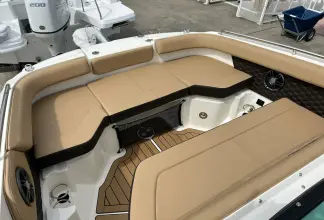 Thumbnail von Sea Ray SDX 250