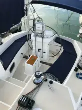 Thumbnail von Tartan 4600 Green Rosetta