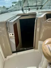 Thumbnail von Sea Ray 460 Sundancer Party of 9