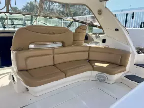 Thumbnail von Sea Ray 460 Sundancer Party of 9