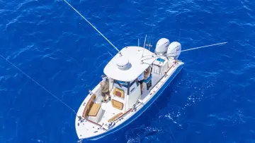 Thumbnail von Cobia 265 CC