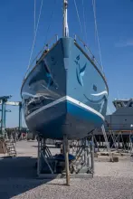 Thumbnail von Moody DS45 STELLAR J