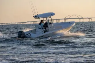 Thumbnail von Skeeter SX 230