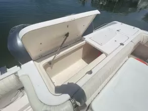 Thumbnail von Grady White Express 330 BrayKin