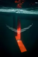 Thumbnail von Candela C 7