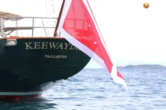 Thumbnail von Palmer Johnson 110