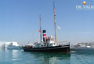 Custom 31M