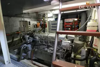 Thumbnail von Pilot Whale 45