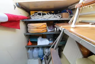 Thumbnail von Pilot Whale 45